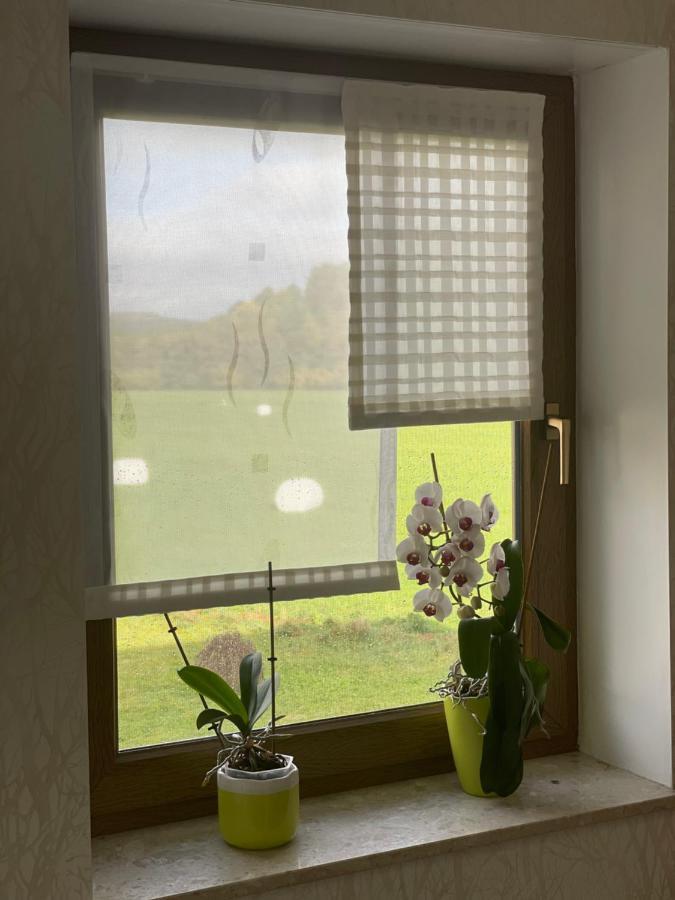 Ferienwohnung Fam.Werner Wasungen Exteriér fotografie
